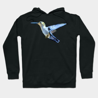 Dream of a Frozen Arrow Hoodie